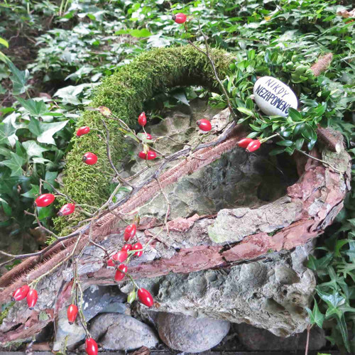 Dušičkové srdce (mech) — foto 2