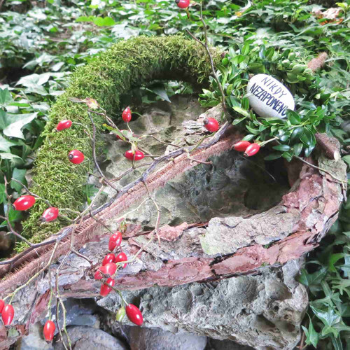 Dušičkové srdce (mech) — foto 4