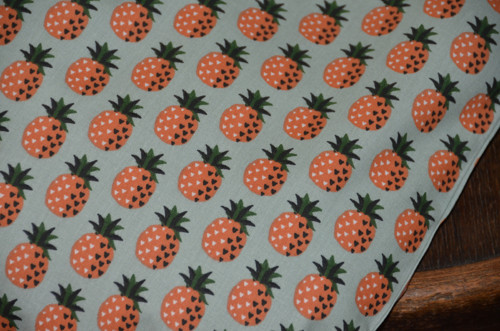 Pohankový polštářek - ananas — foto 5
