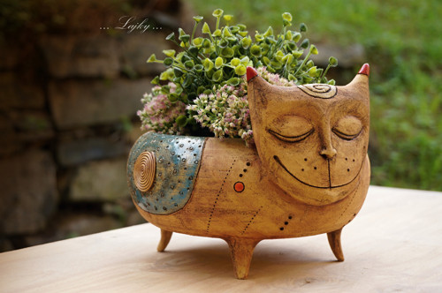 Kocourek... — foto 3