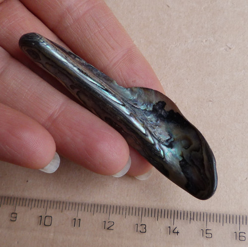 Perleť Paua, 7 x 1,9 x 1 cm — foto 3