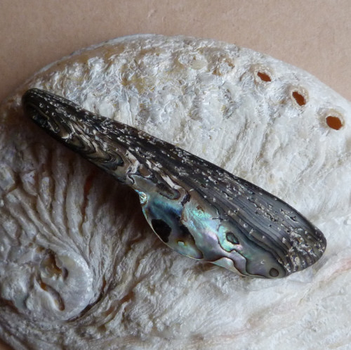 Perleť Paua, 7 x 1,9 x 1 cm — foto 5