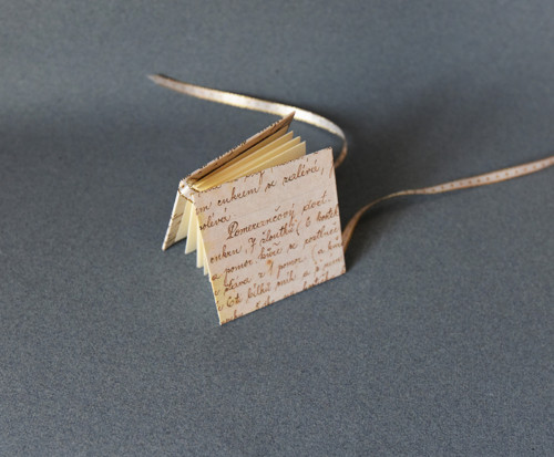 Star book dortové — foto 4