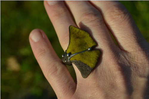 Ginko — foto 2