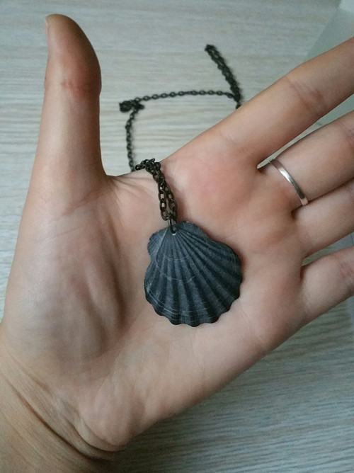 Mušle černá velká — foto 2