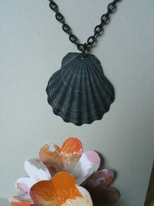 Mušle černá velká — foto 3