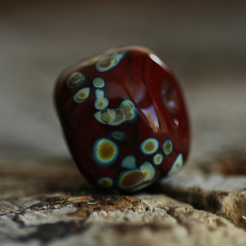 Vinutka dutá - průvlek 2,5 mm — foto 4