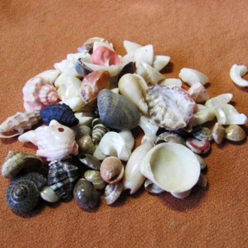Materiál mušlovina — foto 3