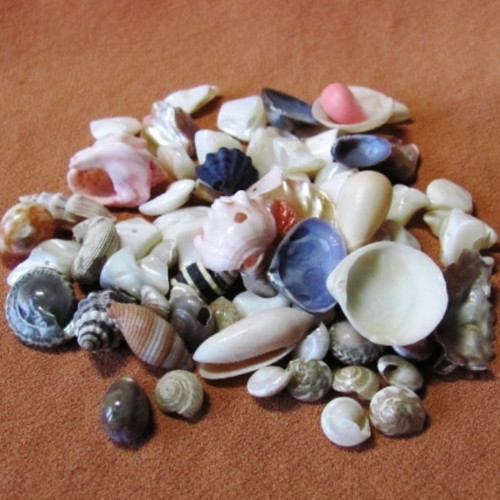 Materiál mušlovina — foto 5