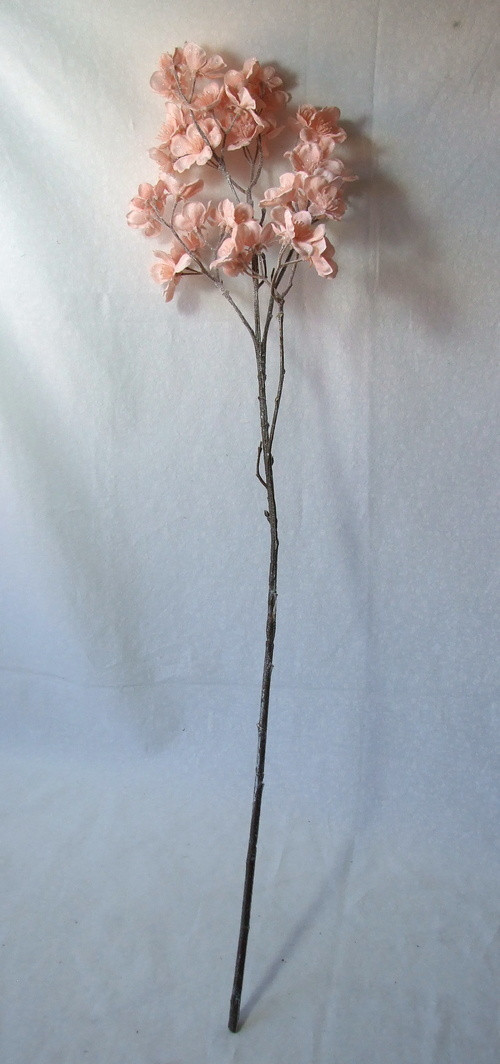 Ojíněná sakura — foto 2