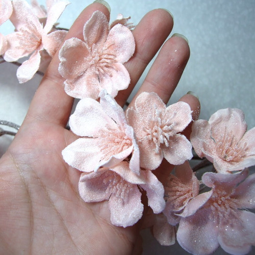 Ojíněná sakura — foto 3