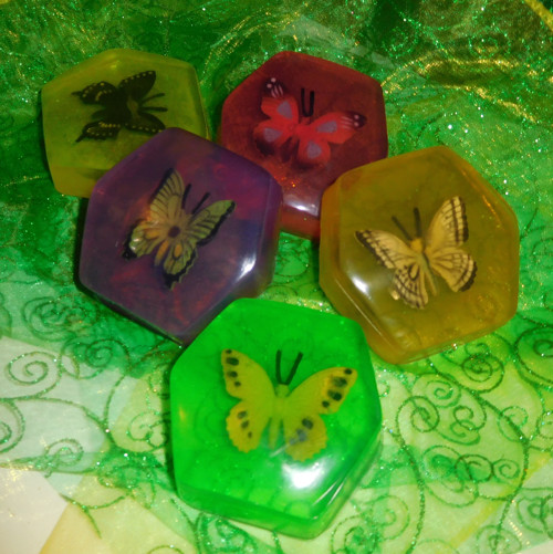 Motýlí křídla — foto 3