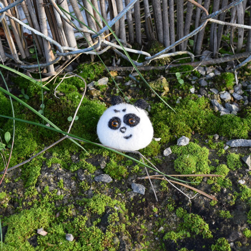 Panda hnědoočko — foto 2
