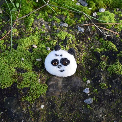 Panda hnědoočko — foto 3