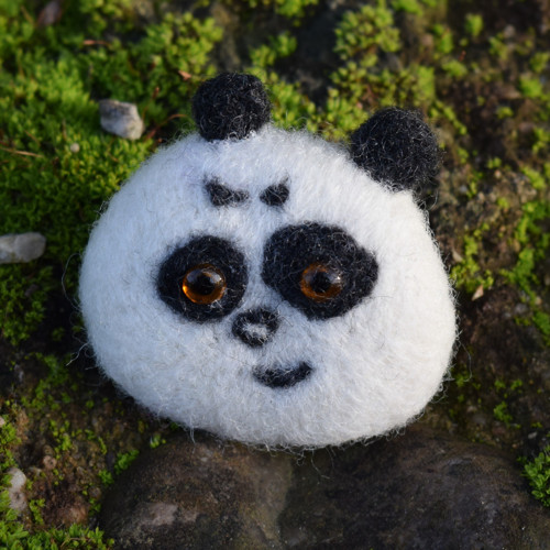Panda hnědoočko — foto 4