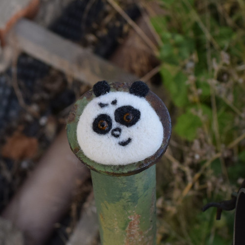 Panda hnědoočko — foto 6