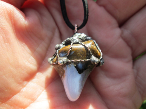 Talisman ,, Vizionář " — foto 4