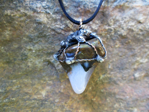 Talisman ,, Vizionář " — foto 2