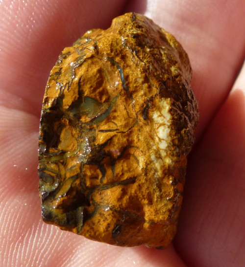 Australský Přírodní Boulder Opál Koroit Austrálie — foto 4