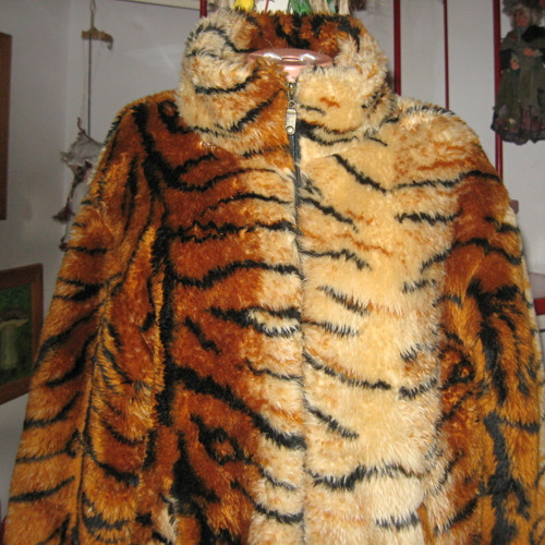 Leopardík roztomilý 12329 — foto 2