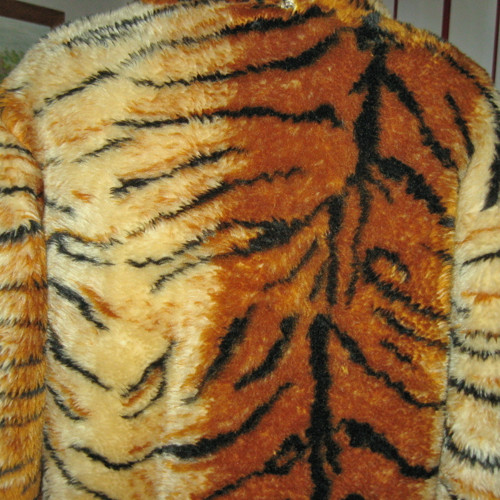 Leopardík roztomilý 12329 — foto 4