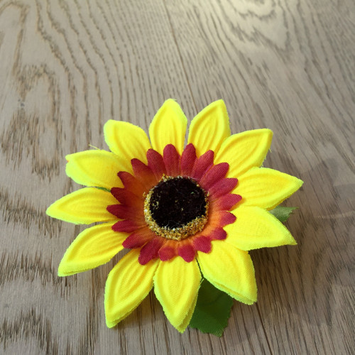 Brožosponka: Jsem heliocentrická! - dětská — foto 3