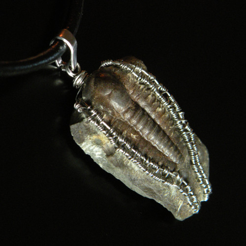 Trilobík — foto 2