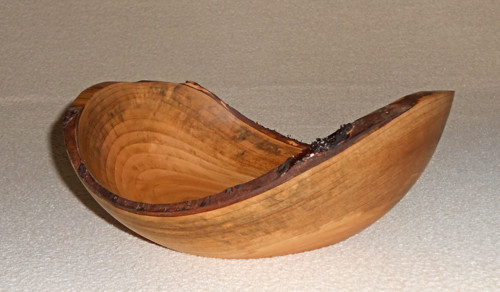 Třešňová " ušatá " — foto 2