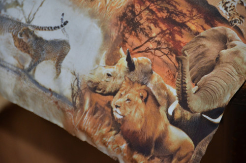 Pohankový polštářek - Safari — foto 4