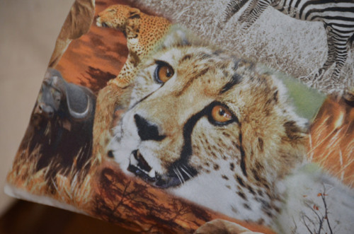 Pohankový polštářek - Safari — foto 5