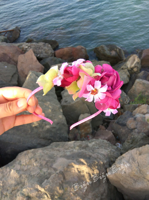 Rosa — foto 2