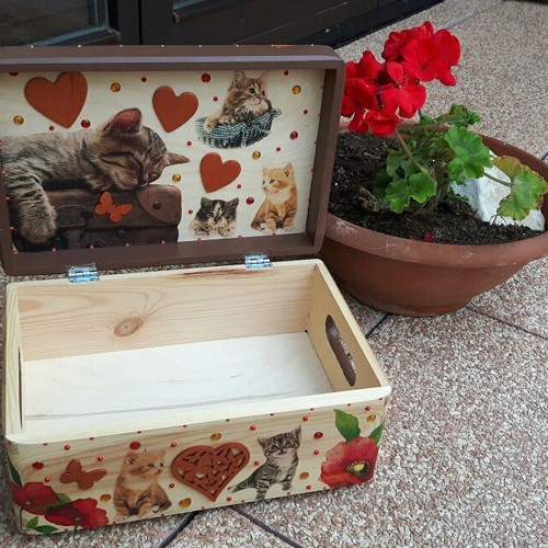Kočičí box na cokoliv... — foto 2