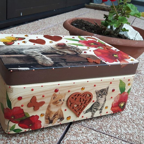 Kočičí box na cokoliv... — foto 3