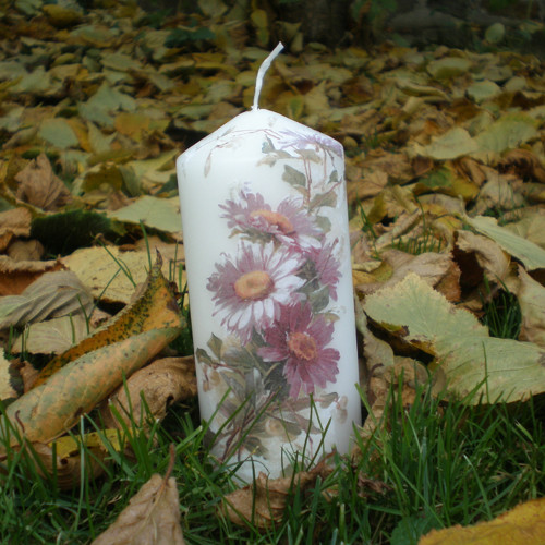 Luční kvítí — foto 2