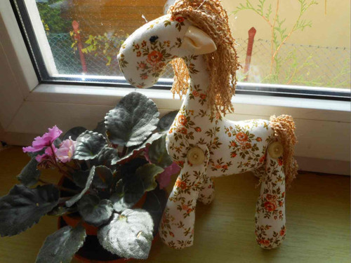 Koník kytkovaný — foto 2