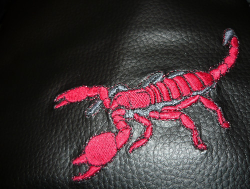 Little Bag Scorpion — foto 4