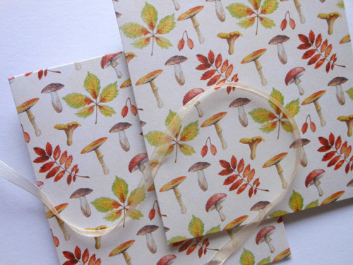 Houbičky a listí - obal na přání CD 13x14 cm — foto 2