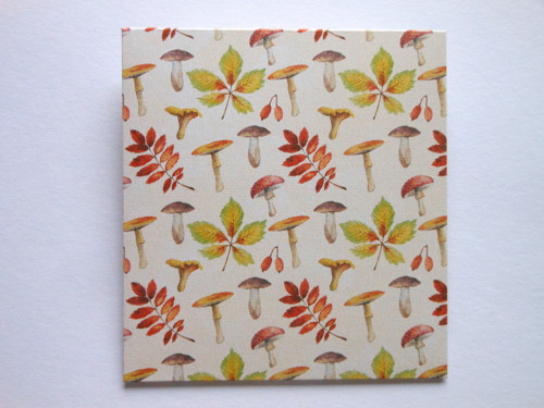 Houbičky a listí - obal na přání CD 13x14 cm — foto 4