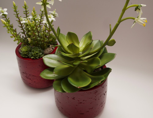 Dekorace REDSUCC I — foto 3