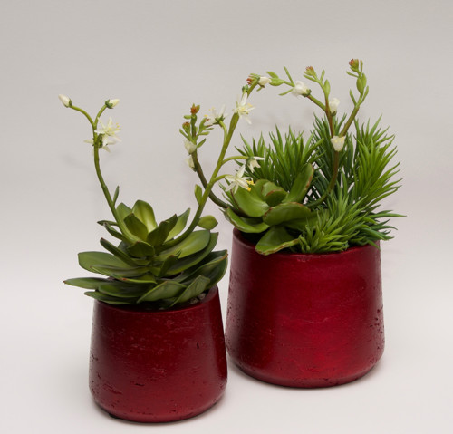 Dekorace REDSUCC I — foto 4