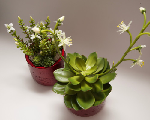 Dekorace REDSUCC I — foto 5