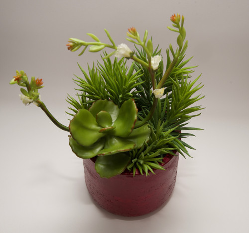 Dekorace REDSUCC III — foto 4