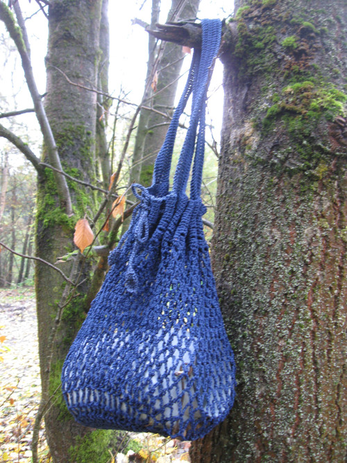 Síťovka modrá — foto 2