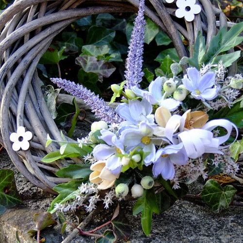 Věnec - Modřenka — foto 2