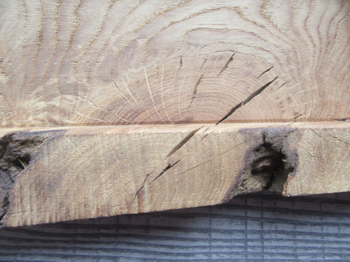 Miska tác dub — foto 2