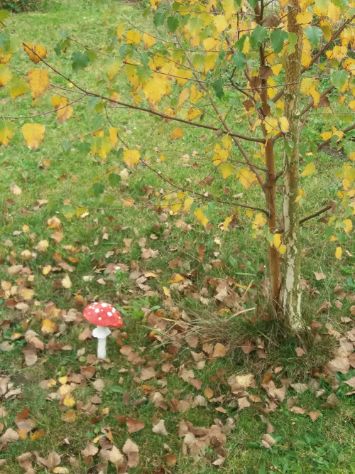 Muchomůrka 23cm...... — foto 5