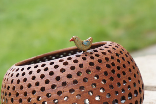 Kdepak ty ptáčku... — foto 6
