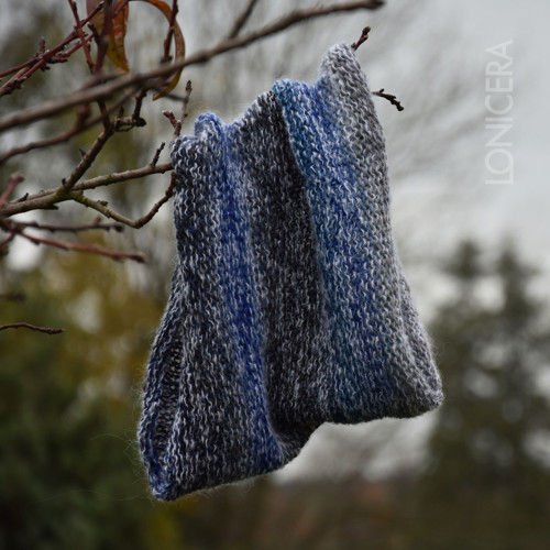 Chumlavý modrásek: nákrčník — foto 2