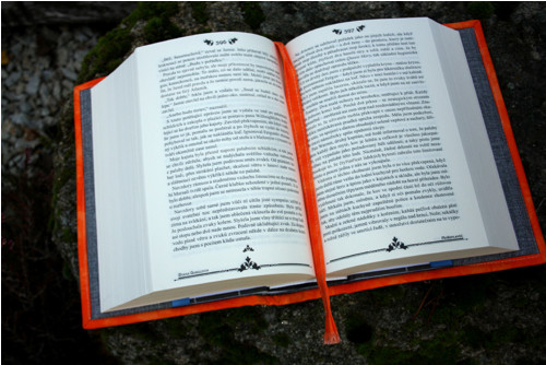 Sassenach-oranžovošedá — foto 5