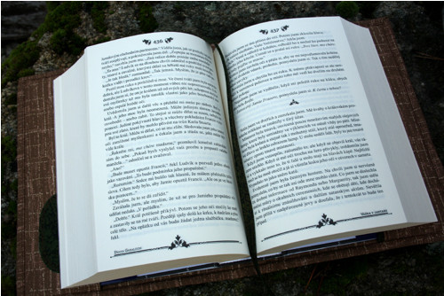Sassenach-zelenohnědá — foto 5